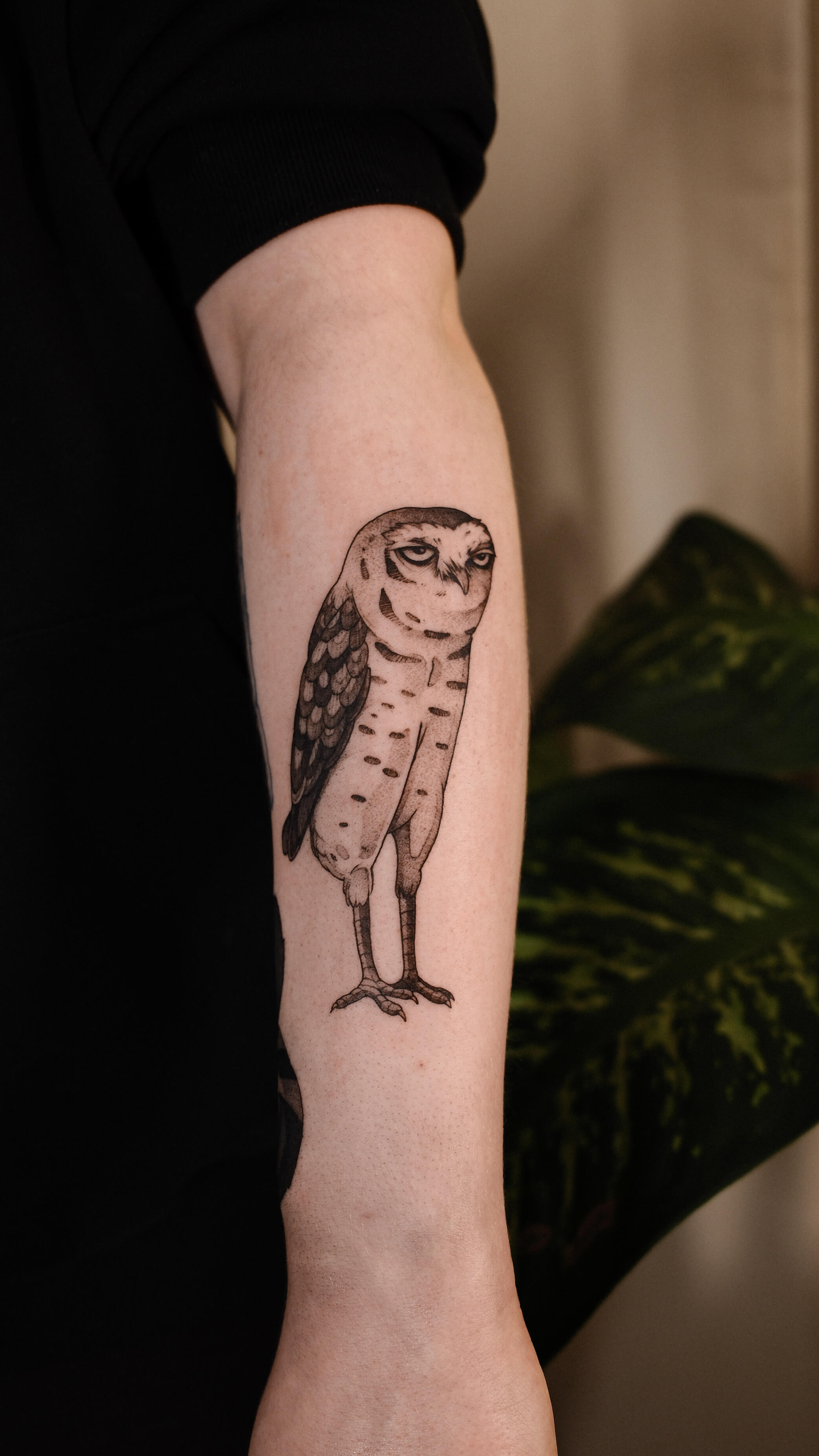 Sketch tattoo of a burrowing owl on forearm — tattoo Barcelona