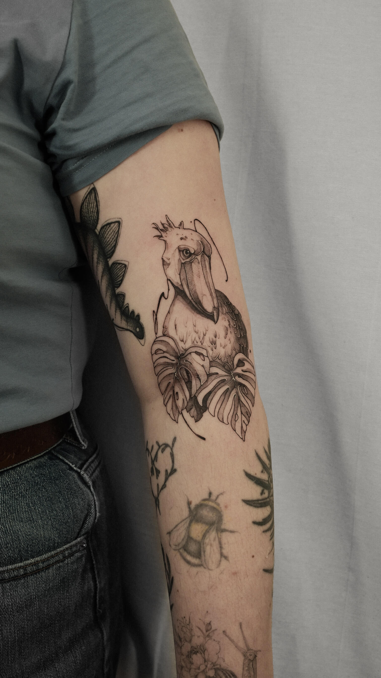 Graphic tattoo of shoebill bird with monstera leaves and bee on arm — tattoo Barcelona