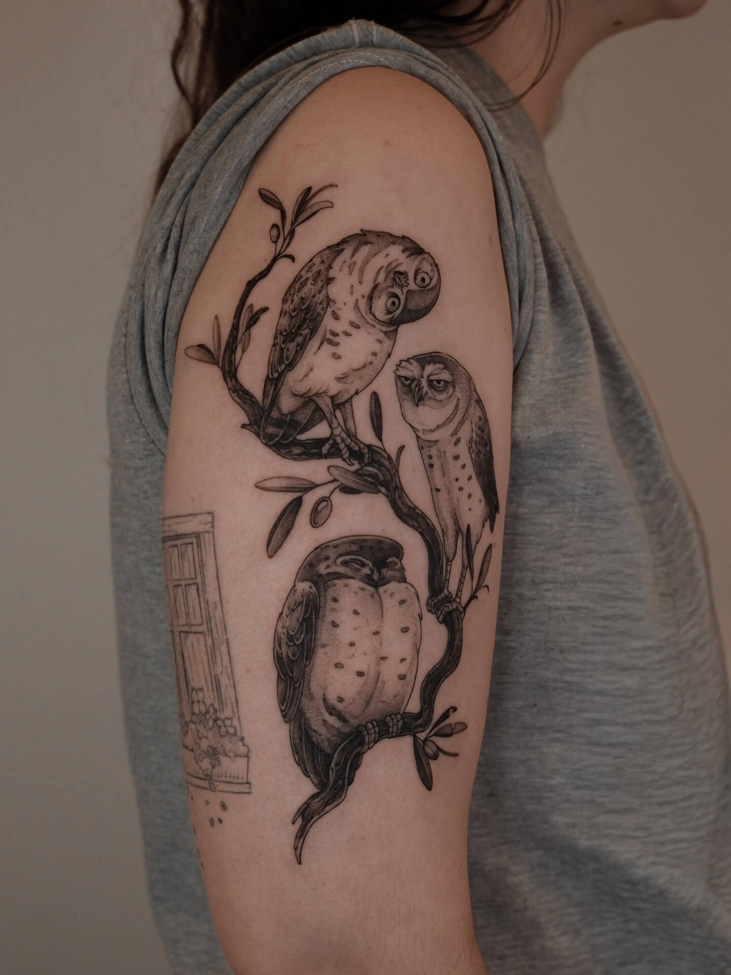 Sketch tattoo of three owls perched on a branch on upper arm — tattoo Barcelona