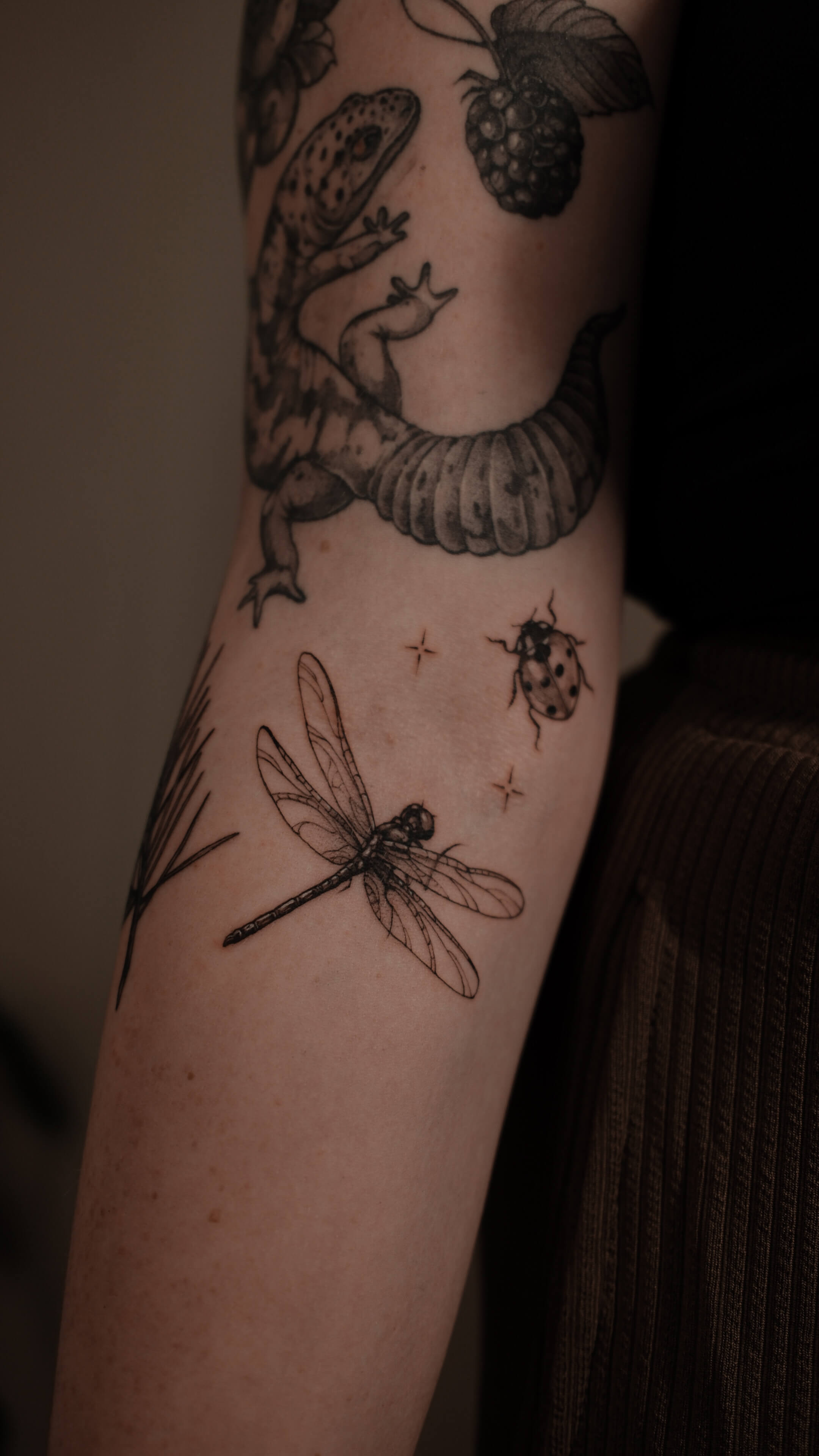 Fine line dragonfly and ladybird tattoo on forearm — tattoo Barcelona